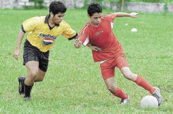 Resucita el campeón