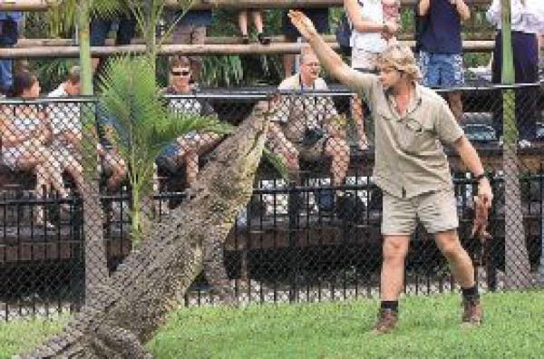 La muerte filmada del cazador de cocodrilos se convierte en su legado