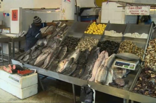 La crisis de la merluza en Chile