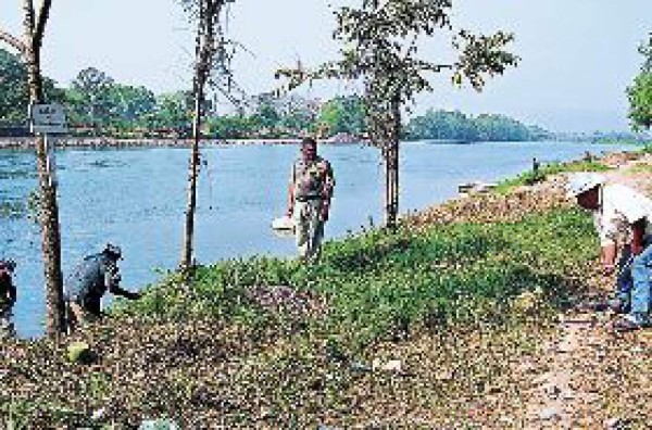 Implementan plan de manejo forestal