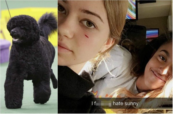 Perra de los Obama muerde a amiga de Malia en la Casa Blanca