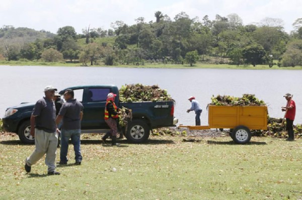 Ejecutan proyecto de rescate de la laguna de Jucutuma