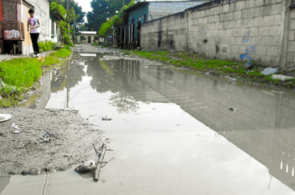 Empieza la fumigación para disminuir el dengue