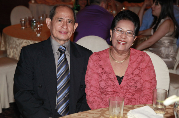 Cemesa despide el 2013