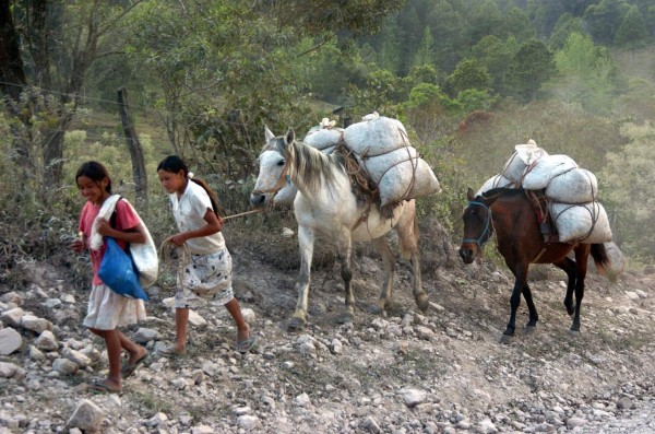 Piden reorientar política fiscal para reducir la pobreza y desigualdad