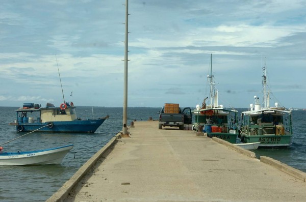 En enero inicia llegada de cruceros a Colón, esperan 11,800 extranjeros