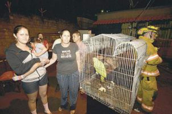 Una lora avisa de la presencia de fuego y salva a los vecinos en Costa Rica