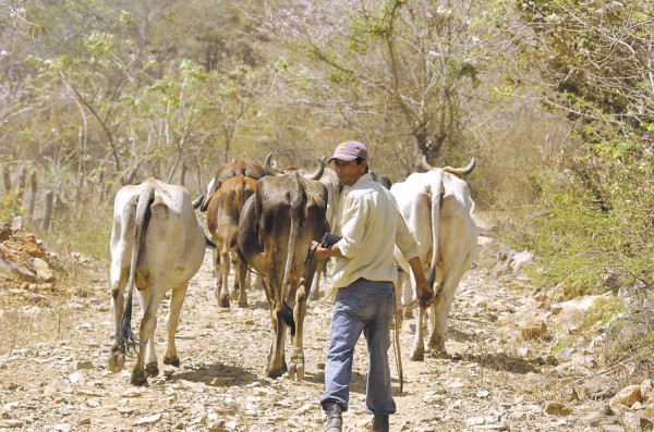 El Sica invirtió $367.8 millones en la región