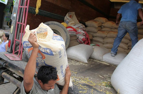 SPS.La SecretarÃ?Â­a de Agricultra y Ganaderia SAG, orientara a los cultivos de granos bÃ?Â¡sicos en las zonas con mayores posibilidades de lluvias.240909.