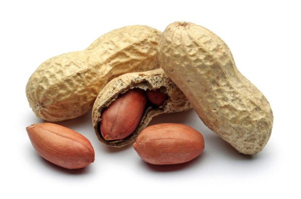 ¿Alérgico a los cacahuates? Las nueces de árbol quizá sean seguras de cualquier forma