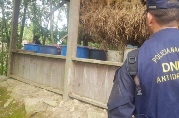 Honduras desmantela tres laboratorios para procesar hoja de coca