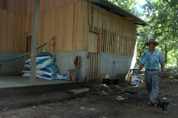 En el olvido familias afectadas por los sismos