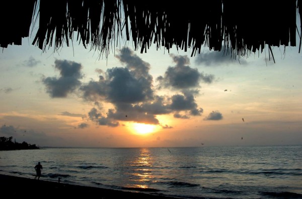 20 fotos de La Ceiba y sus bellezas