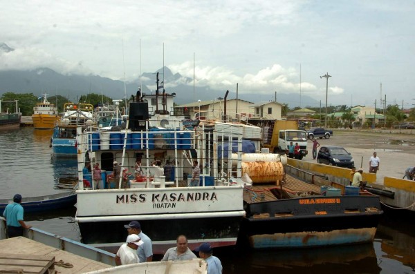 En constante vigilancia para evitar pesca de especies protegidas