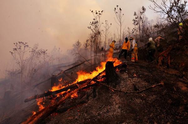 Honduras lanza campaña para proteger los bosques y prevenir los incendios forestales
