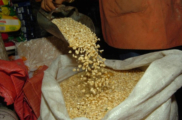 Descartan aumento al precio del maíz