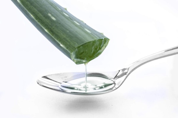 El aloe vera, un excelente remedio