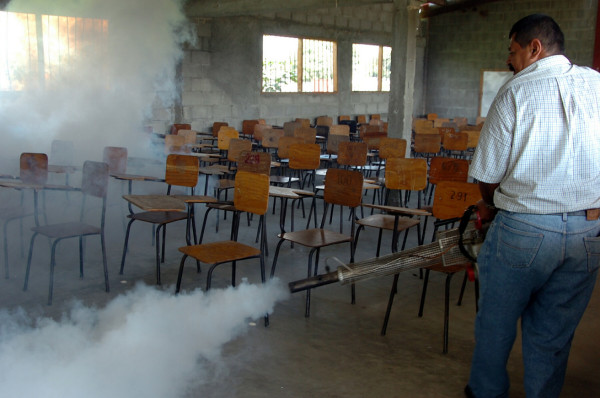 Porteños se suman a la lucha contra el dengue