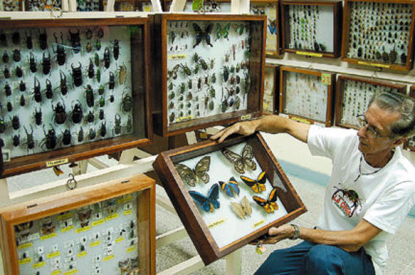La Ceiba enamora