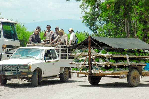 Zozobra por cierre de fincas en el Aguán
