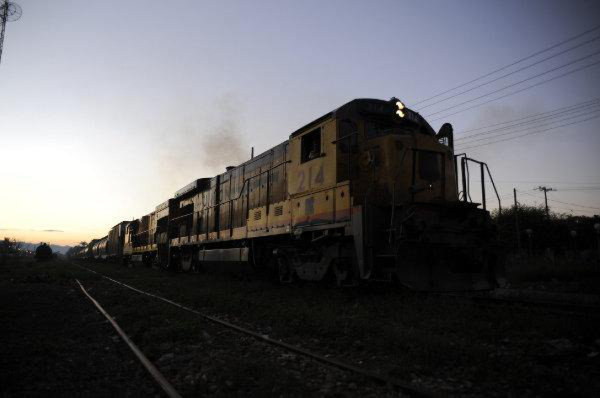 Libro sobre tren 'La Bestia' narra riesgos del viaje de migrantes a EUA