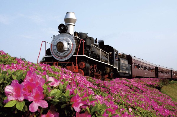 La magia del turismo de trenes en Brasil