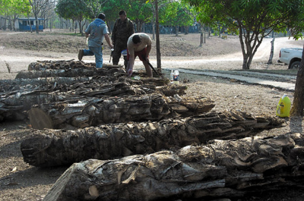 Honduras: Llega el verano con el vino de Coyol