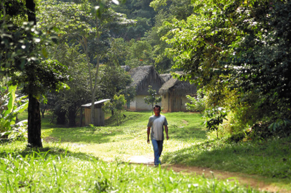 Natgeo: Los taínos vuelven del pasado