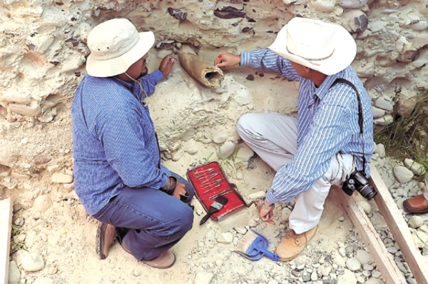 Asombra hallazgo de supuesto colmillo de mamut en Tegucigalpa