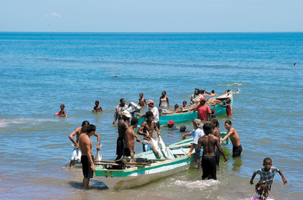Masiva pesca de jureles en aldea de Corozal