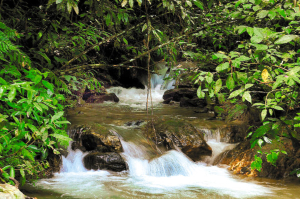 Pobladores deben ser evacuados de El Merendón