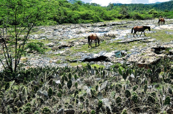 Confirman contaminación de agua en el valle de Siria