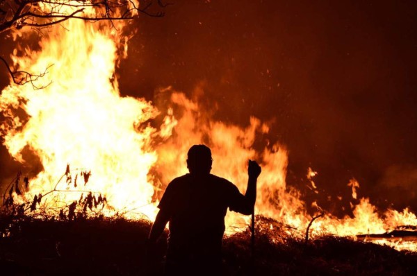 Se reactiva fuego en los bosques de El Hatillo