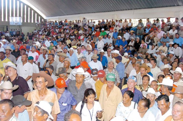 Engañados se sienten afectados por Nemagón