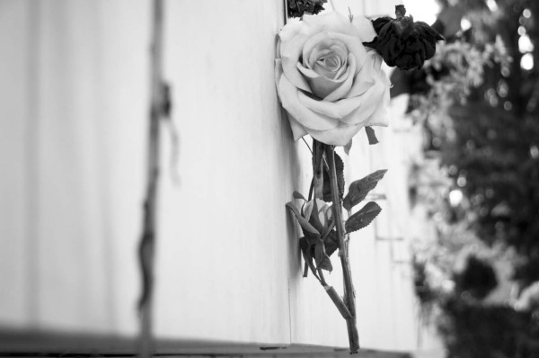 De cenizas a diamante humano: opciones post cremación que vetó la Iglesia Católica