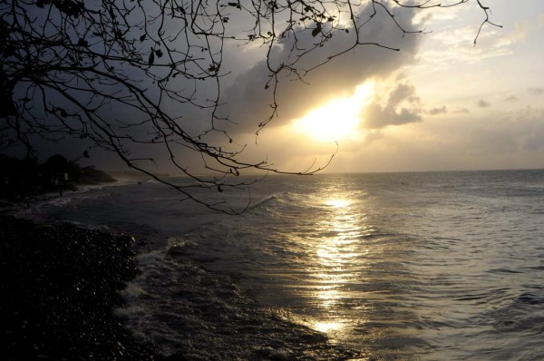 20 fotos de La Ceiba y sus bellezas