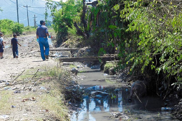 Temen epidemia en zonas afectadas