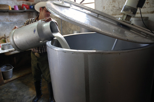 Gobierno de Honduras y productores debaten hoy alza de L1.50 por litro de leche