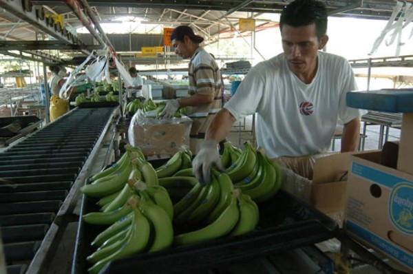 UE ofrece una paz a AL en la guerra del banano