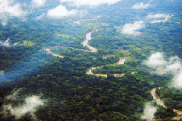 Retiran la biosfera de patrimonio en peligro