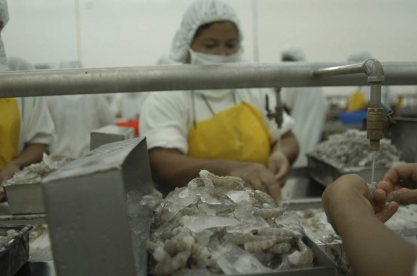 Fide y Canadá darán herramientas para TLC