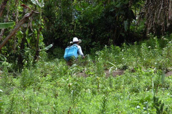 La Tigra: reserva de rica biodiversidad se encuentra en riesgo