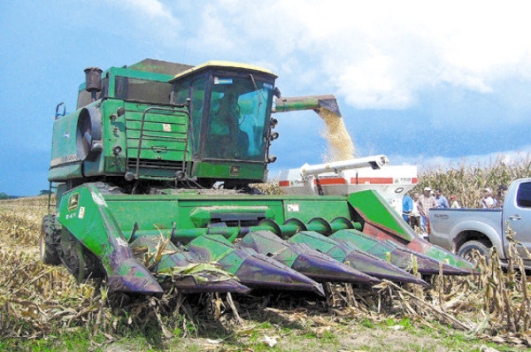 El bajo Aguán, oasis en medio de la crisis