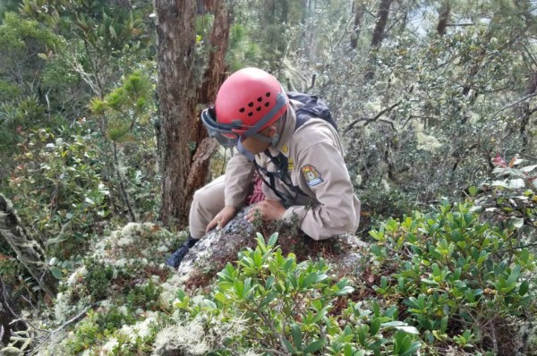 Encuentran a turista y guía perdidos en la montaña de Celaque