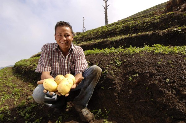 Alimentos bajan 1.9% en Latinoamérica, según FAO