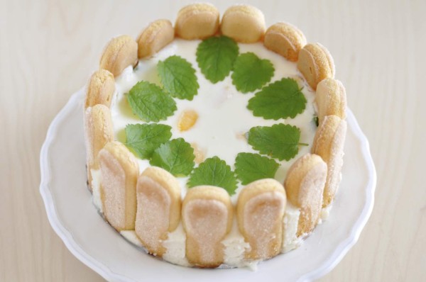 Prepare una rica carlota de limón