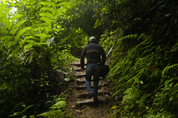 Promueven ecoturismo en Santa Cruz de Yojoa