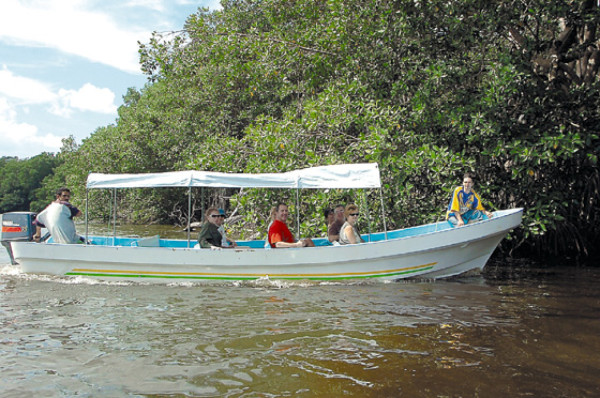 Laguna de Los Micos peligra por sedimentación