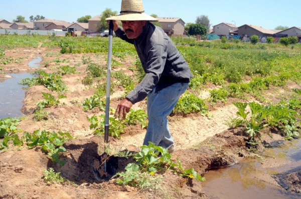 Florida: peligran 253,000 empleos si aprueban ley que verifica indocumentados