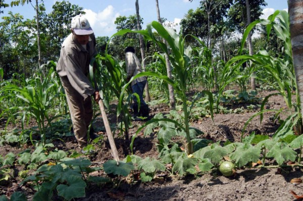 Honduras se une al programa Mesoamérica sin hambre
